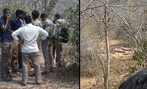 20 Shot Dead in AP Forests, Strong Protests by Tamil Nadu